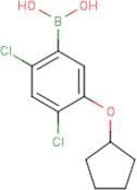 2,4-Dichloro-5-(cyclopentyloxy)phenylboronic acid