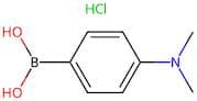 4-(Dimethylamino)phenylboronic acid hydrochloride