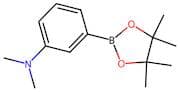 3-(N,N-Dimethylamino)phenylboronic acid, pinacol ester