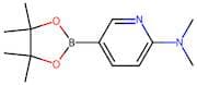 6-(Dimethylamino)pyridine-3-boronic acid, pinacol ester
