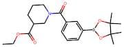 3-[3-(Ethoxycarbonyl)piperidine-1-carbonyl]phenylboronic acid, pinacol ester