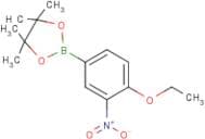 4-Ethoxy-3-nitrophenylboronic acid, pinacol ester