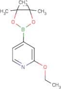 2-Ethoxypyridine-4-boronic acid, pinacol ester