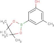 3-Hydroxy-5-methylphenylboronic acid, pinacol ester