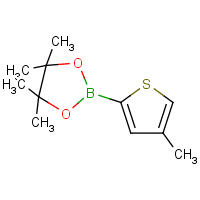 4-Methylthiophene-2-boronic acid, pinacol ester