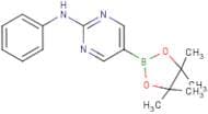 2-Phenylaminopyrimidine-5-boronic acid, pinacol ester