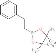 2-Phenylethylboronic acid, pinacol ester