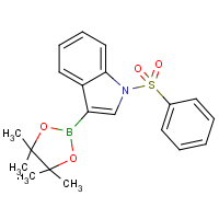 1-(Phenylsulfonyl)-3-indoleboronic acid, pinacol ester