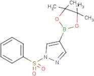 1-(Phenylsulfonyl)pyrazole-4-boronic acid, pinacol ester