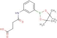 3-Succinamidophenylboronic acid, pinacol ester