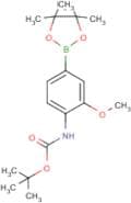 4-(tert-Butoxycarbonylamino)-3-methoxyphenylboronic acid, pinacol ester