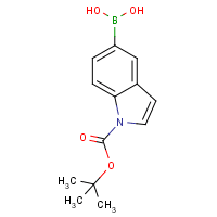 1-(tert-Butoxycarbonyl)-1H-indole-5-boronic acid