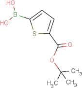 5-tert-Butoxycarbonylthiophene-2-boronic acid