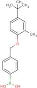 4-[(4-tert-Butyl-2-methylphenoxy)methyl]phenylboronic acid