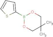 Thiophene-2-boronic acid,neopentyl glycol ester