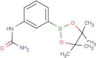 3-Ureidophenylboronic acid pincol ester