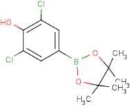 3,5-Dichloro-4-hydroxyphenylboronic acid, pinacol ester