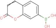(2-Oxochromen-7-yl)boronic acid