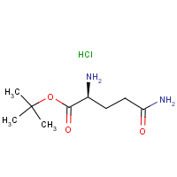 H-Gln-OtBu · HCl