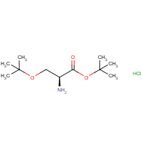 H-Ser(tBu)-OtBu · HCl
