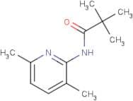 N-(3,6-Dimethylpyridin-2-yl)pivalamide