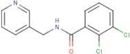2,3-Dichloro-N-(pyridin-3-ylmethyl)benzamide