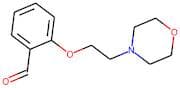 2-(2-Morpholin-4-ylethoxy)benzaldehyde 95%