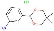 3-Aminobenzeneboronic acid, neopentyl glycol ester hydrochloride