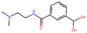 3-{[2-(Dimethylamino)ethyl]carbamoyl}benzeneboronic acid