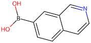Isoquinoline-7-boronic acid