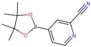 2-Cyanopyridine-4-boronic acid, pinacol ester