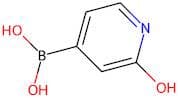 2-Hydroxypyridine-4-boronic acid