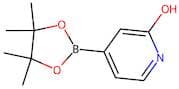 2-Hydroxypyridine-4-boronic acid, pinacol ester