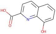 8-Hydroxyquinoline-2-carboxylic acid