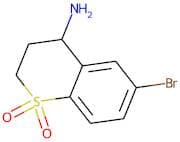 4-Amino-6-bromothiochroman 1,1-dioxide
