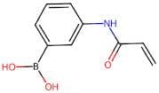 3-(Acryloylamino)benzeneboronic acid