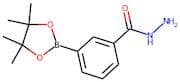 3-(Hydrazinocarbonyl)benzeneboronic acid, pinacol ester