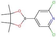 2,6-Dichloro-4-(4,4,5,5-tetramethyl-1,3,2-dioxaborolan-2-yl)pyridine