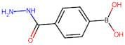 4-(Hydrazinocarbonyl)benzeneboronic acid