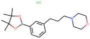 3-[3-(Morpholin-4-yl)propyl]benzeneboronic acid, pinacol ester hydrochloride