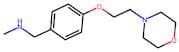N-Methyl-1-{4-[2-(morpholin-4-yl)ethoxy]phenyl}methylamine