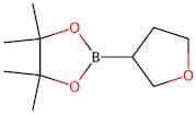 4,4,5,5-Tetramethyl-2-(tetrahydro-furan-3-yl)-[1,3,2]dioxaborolane