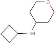 N-Cyclobutyl-tetrahydro-2H-pyran-4-amine