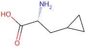 (R)-3-Cyclopropylalanine