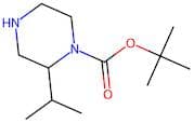 1-Boc-2-(1-methylethyl)-piperazine