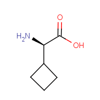 (R)-2-Cyclobutylglycine
