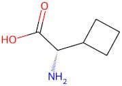 (S)-2-Cyclobutylglycine