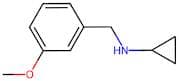 Cyclopropyl(3-methoxybenzyl)amine