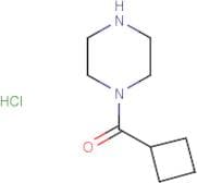 1-(Cyclobutylcarbonyl)piperazine hydrochloride