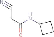 2-Cyano-N-cyclobutyl-acetamide